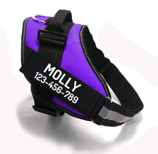 PawPawify Custom No Pull Dog Harness with Name and Phone Number, Heavy Duty Personalized Pet Vest to Prevent Tugging, Pulling, or Choking, Training and Walking (Purple, XXL (85-140 LBS))