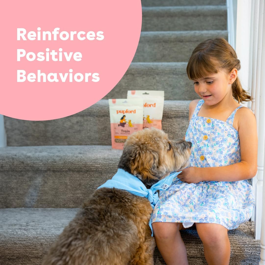 Pupford Soft & Chewy Training Treats for Dogs & Puppies (Chicken, 5 oz)