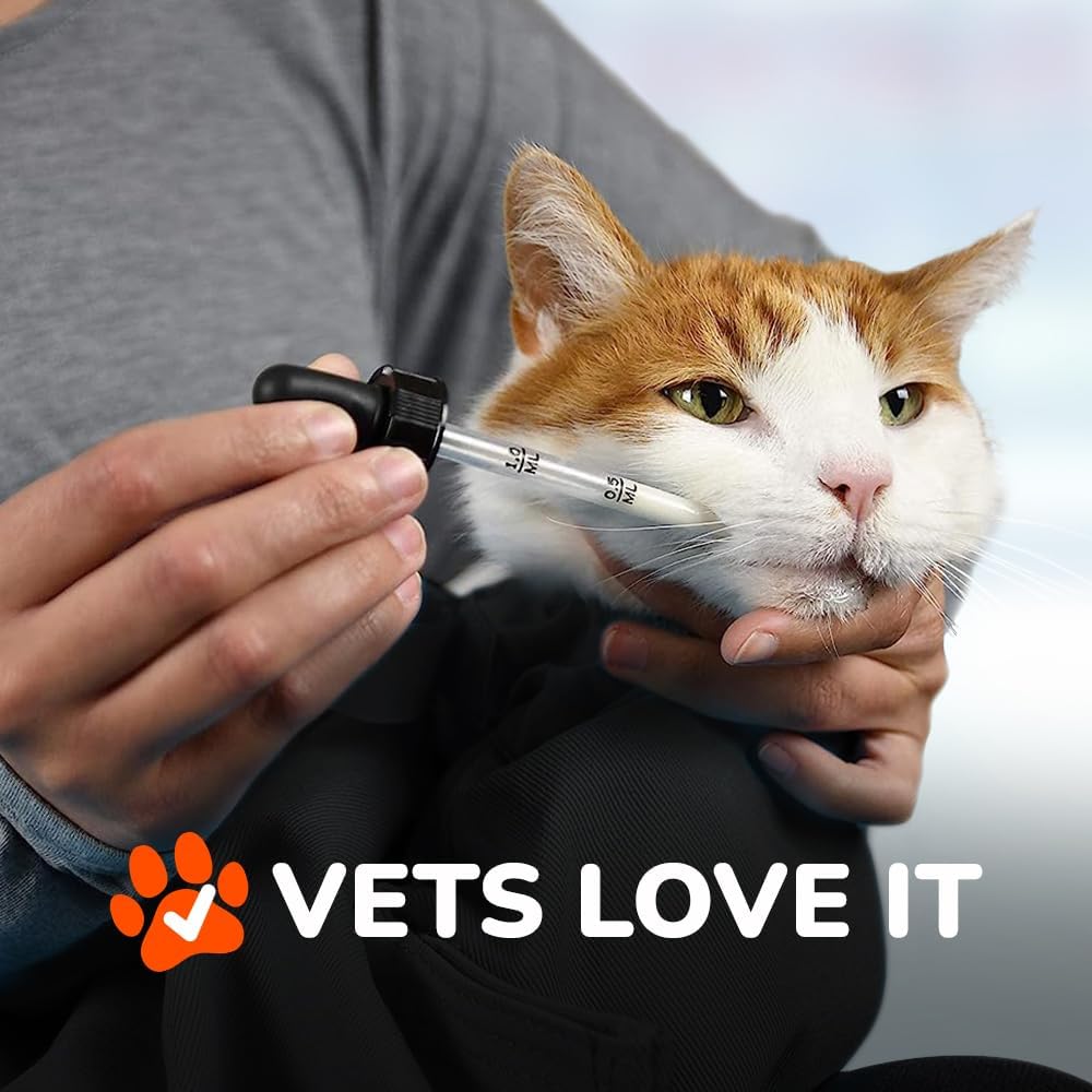 Cozy Comfort Carrier - X-Large Charcoal Grey Cat Carrier Bag, Soft Cat Carrier and Cat Wrap for Nail Clipping, Vet Visits, Medication Administration, Dental Care, and Traveling