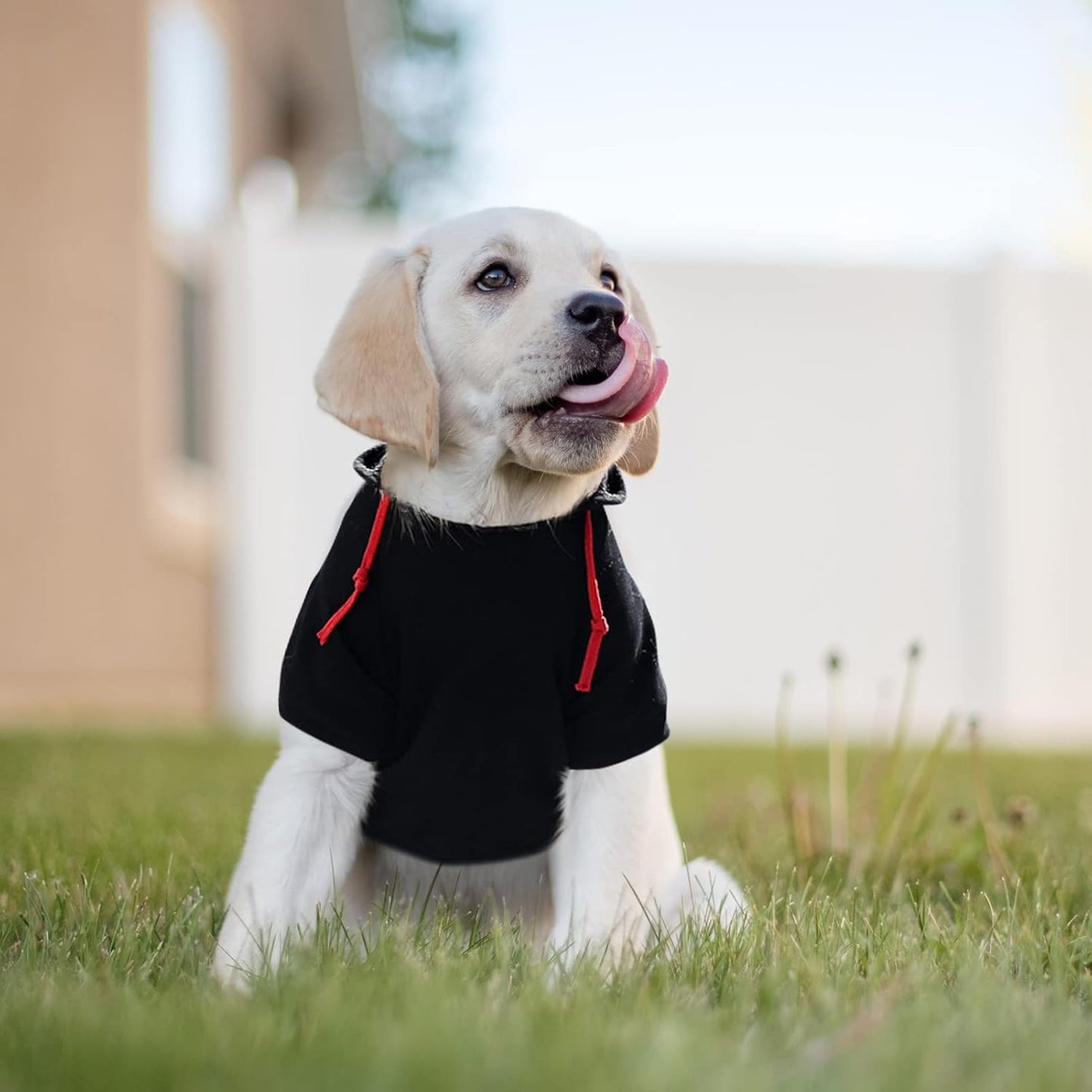 SAWMONG Dog Hoodie,Flannel Pet Hooded Sweater with Hat Puppy Pullover Sweater Shirt,Dog (Black,XL)