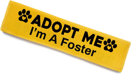Adopt Me I’m A Foster Dog Leash Sleeve, Funny Yellow Dog Leash Wrap Alert Hanging ID Patch Tag, Adopt Me Leash Sleeve Dog No Pet Leash Sleeve Pet Birthday Gifts for Dog Owners