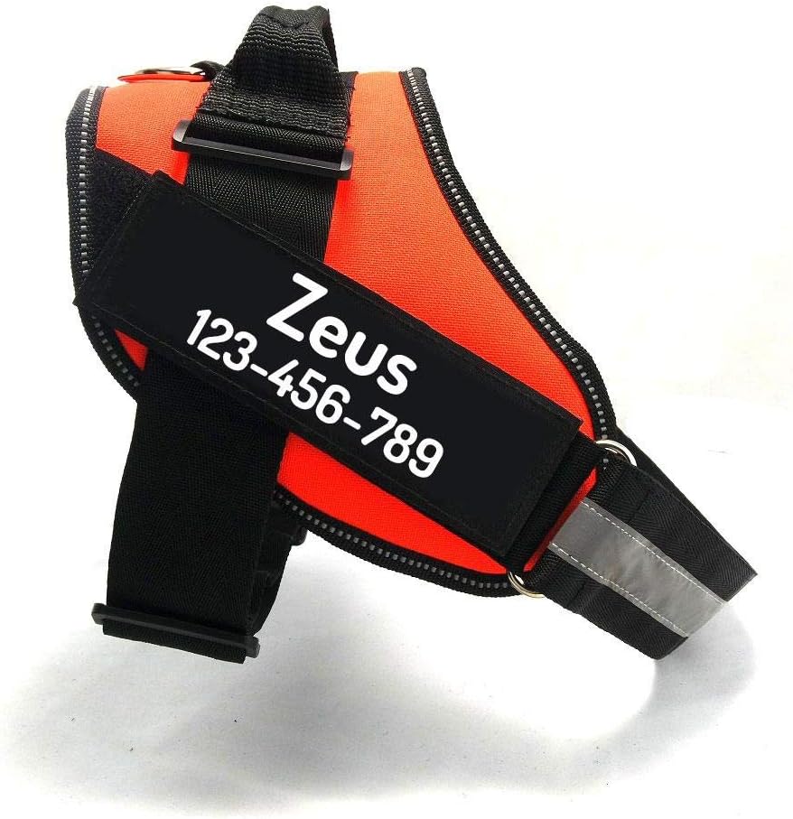 PawPawify Custom No Pull Dog Harness with Name and Phone Number, Heavy Duty Personalized Pet Vest to Prevent Tugging, Pulling, or Choking, Training and Walking (Orange, S (10-19LBS))
