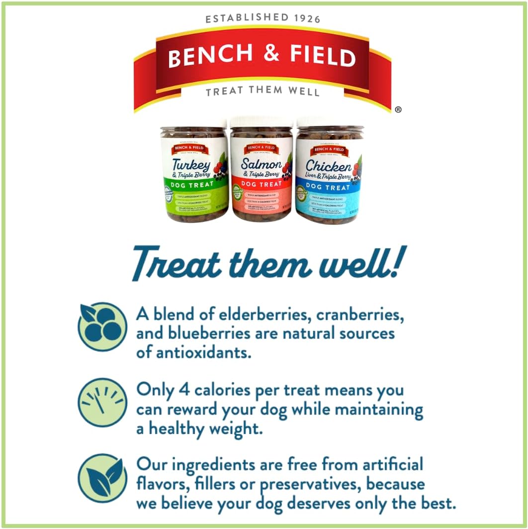 Bench & Field Holistic Natural Salmon & Triple Berry Dog Treats | Crunchy Bone-Shaped Bites | Antioxidant Blend, 10-Ounce Bottle