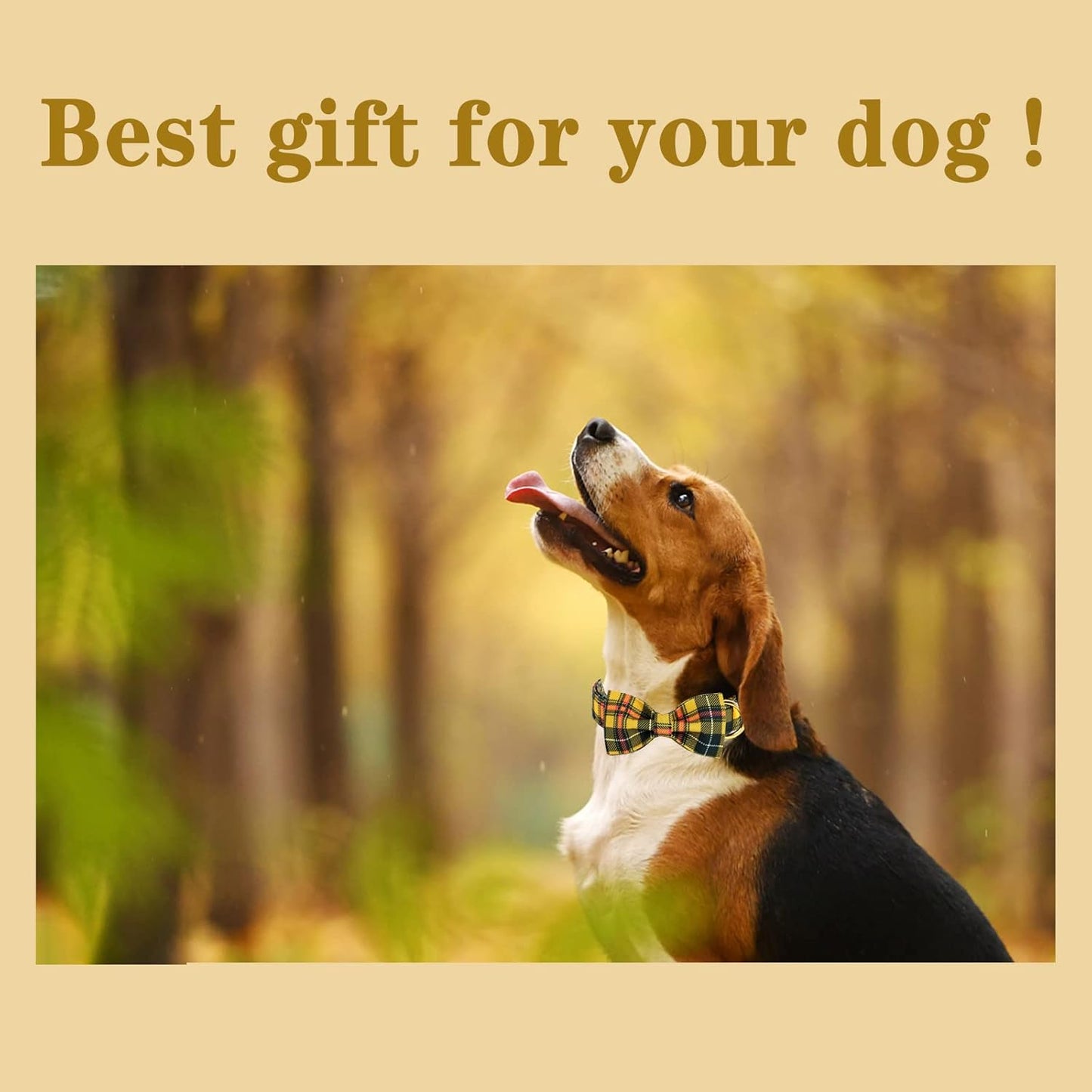 Unique style paws Bowtie Dog Collar Cotton Plaid Collar Adjustable Puppy Collar for Small Medium Large Dogs-L