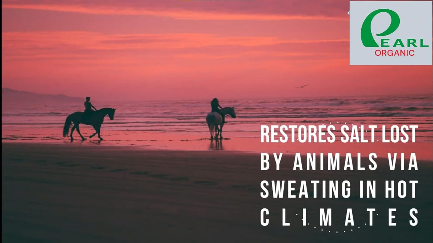 New 6 lbs Animal Himalayan Salt Lick on Rope for Horses, Deer, Rabbits, Cows and Other Livestock | Lick Salt for Deer | Digestive Aid for Animals | Horse Treats (6lbs)