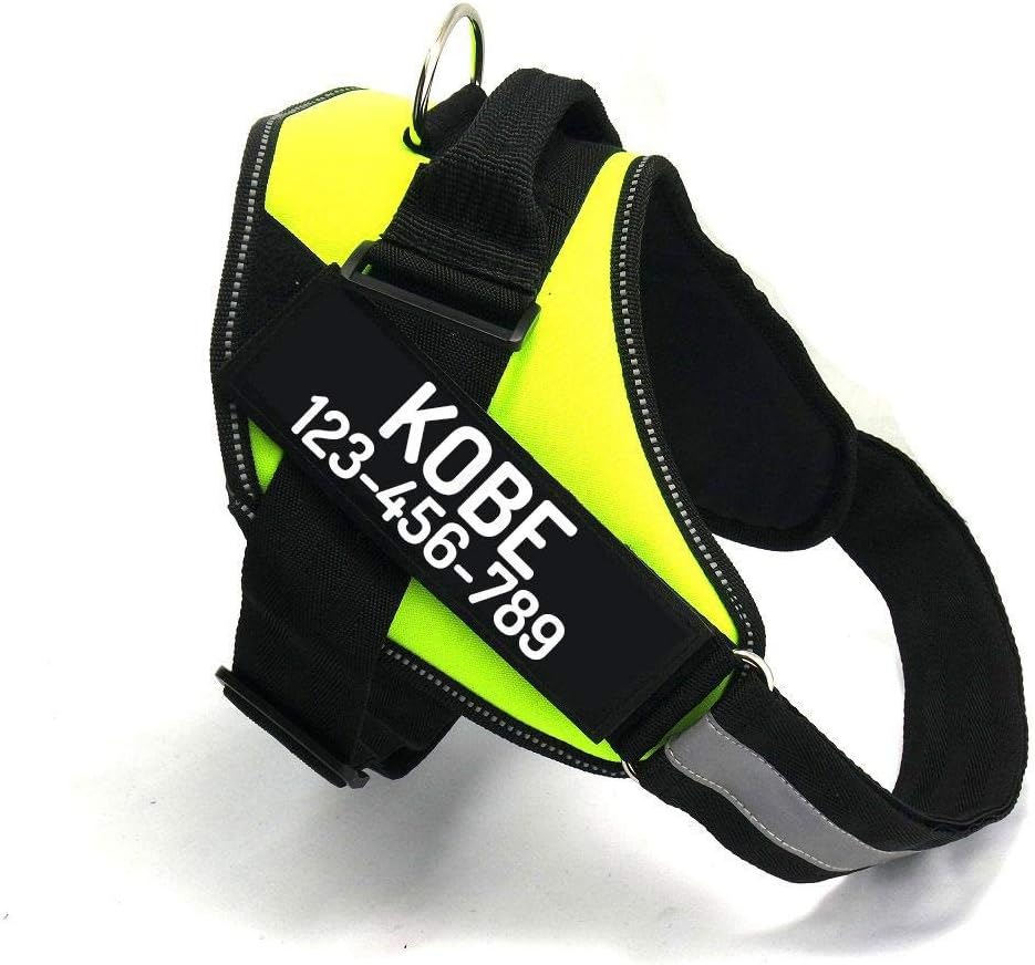 PawPawify Custom No Pull Dog Harness with Name and Phone Number, Heavy Duty Personalized Pet Vest to Prevent Tugging, Pulling, or Choking, Training and Walking (Green, M (20-40 LBS))