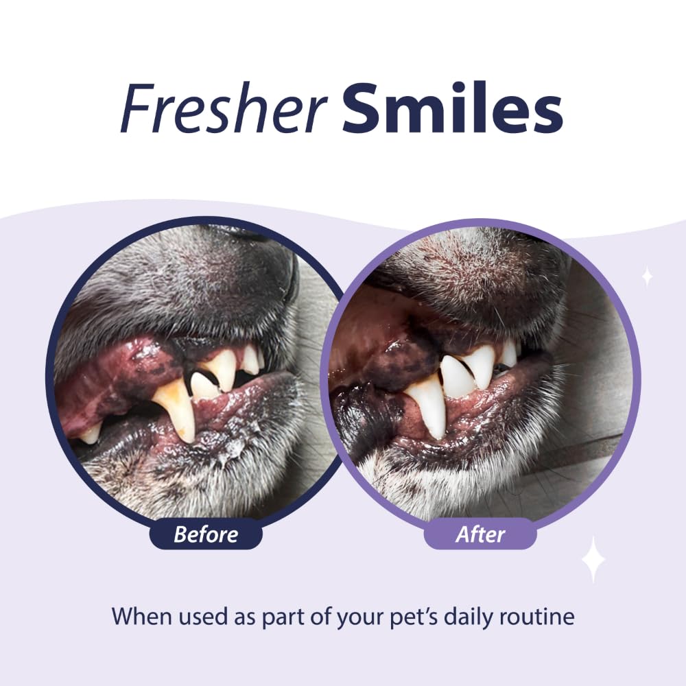Dental Fresh Advanced Plaque and Tartar Water Additive, 32oz – Dog Teeth Cleaning Formula to Freshen Breath and Improve Cat & Dog Dental Care