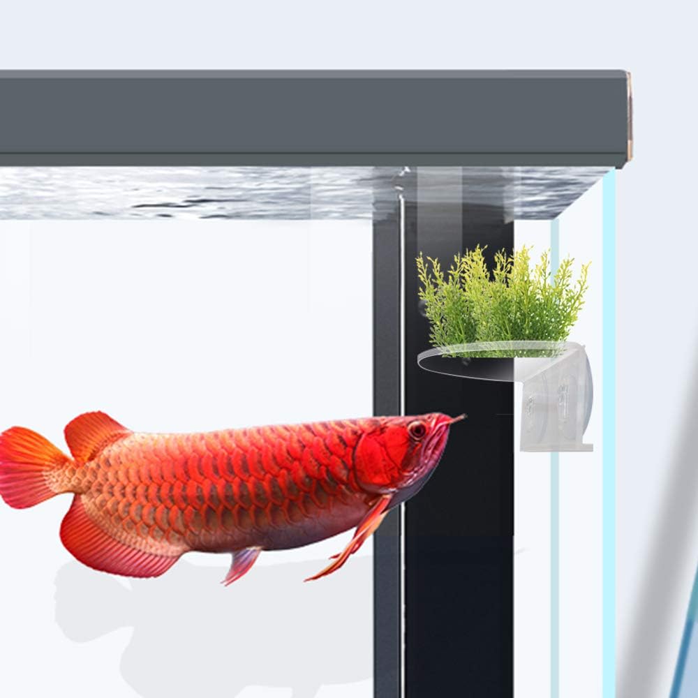 2Pack Aquarium Shelf,Transparent Acrylic Ledge Plants Holder for Substrate and Live Plants,with Strong Suction Cups for Fish Tank Multi-layer Decorations