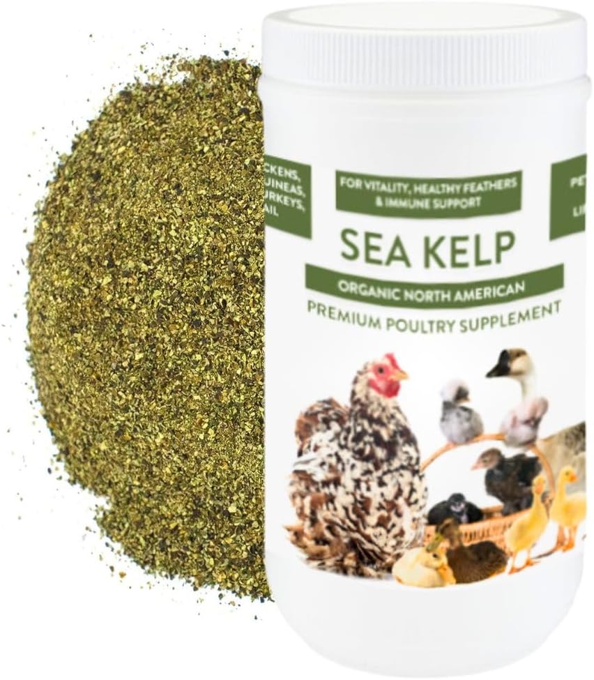 Organic Kelp for Chickens & Duck Feed (5 Pound): Chicken Vitamins | Chicken Supplements | Vitamins for Chickens | Pampered Chicken Mama