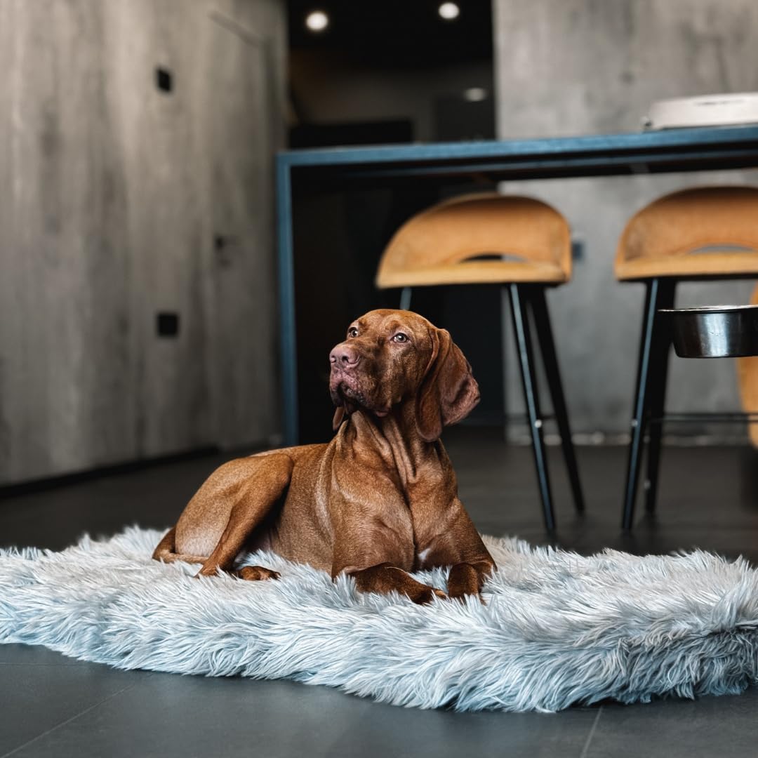 IHAPPYDOG Luxury Faux Fur Orthopedic Dog Bed, Memory Foam Dog Bed for Small, Medium, Large and XL Pets, Fluffy Pet Bed with Waterproof and Washable Cover (Grey, 50"x30")