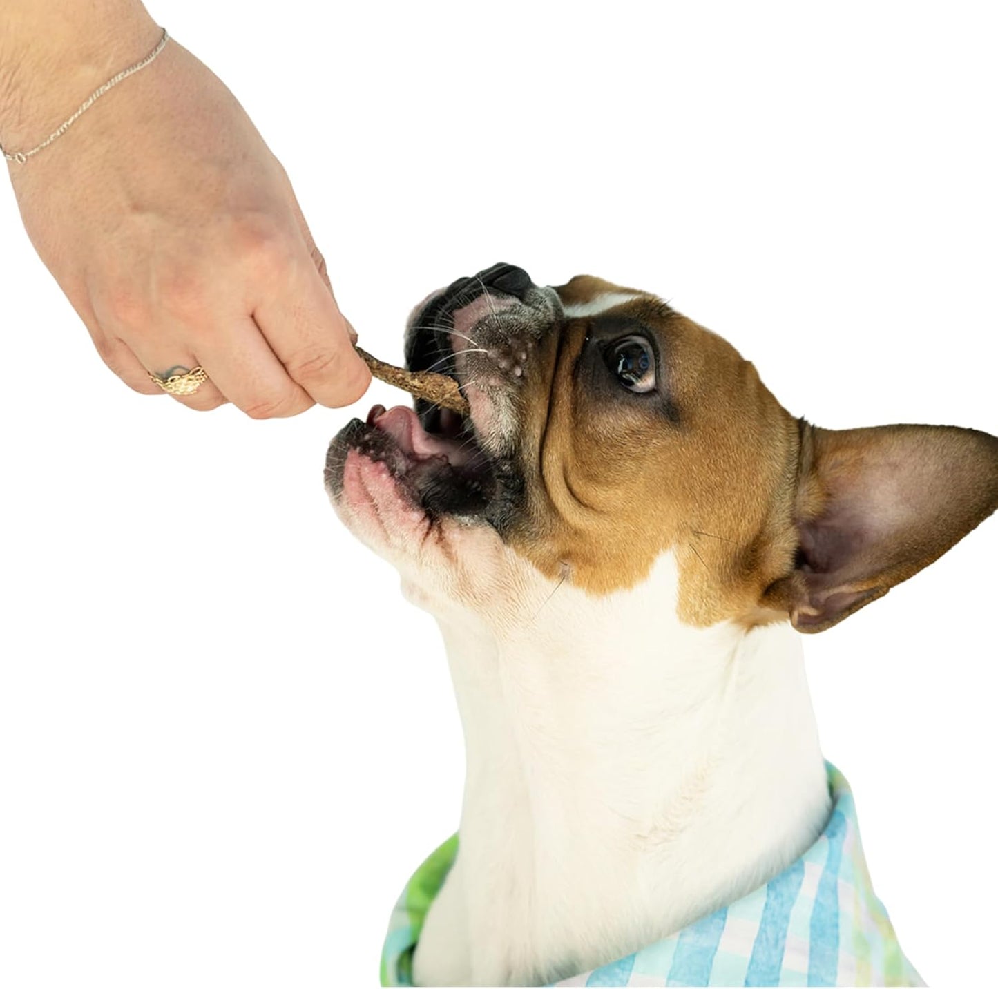 Winnie Lou Wild Boar Jerky Dog Treats – Limited Ingredient, Human Grade, Training Treats for Small, Medium & Large Dogs, Made in USA (2 Pack)