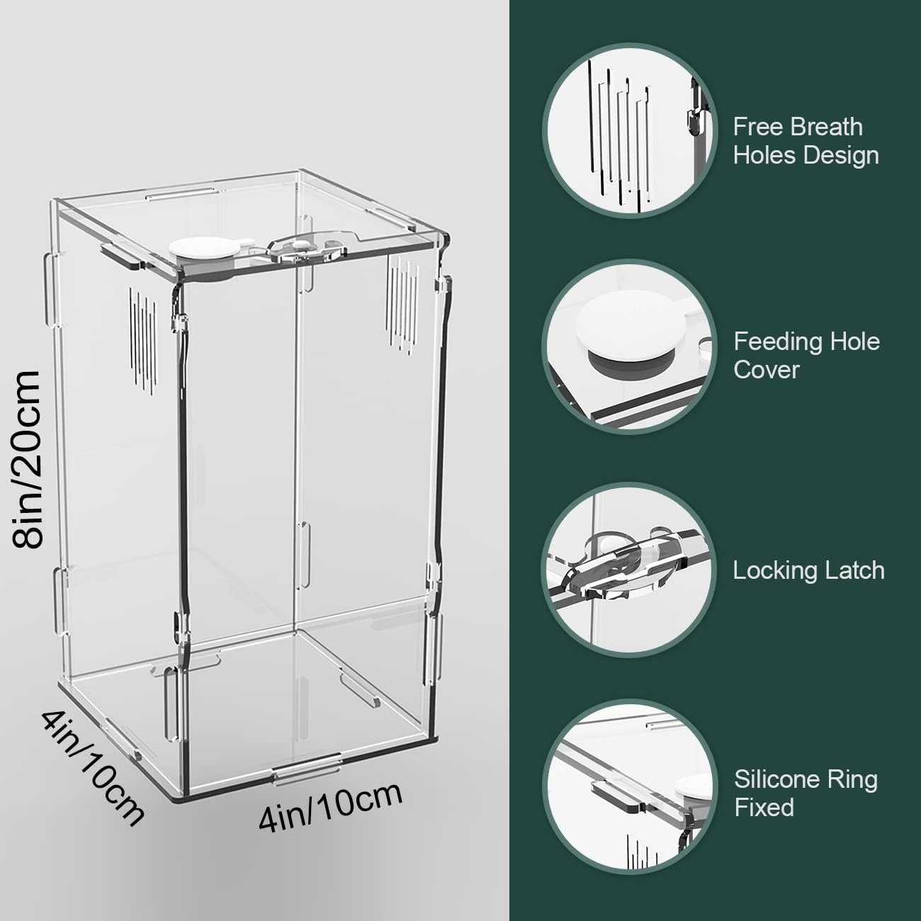 BETAZOOER Acrylic Mini Reptile Tank Habitat Transparent Terrariums with Locking Latch Suitable for Tarantula Isopod Roach Invertebrates (4''x4''x8'')