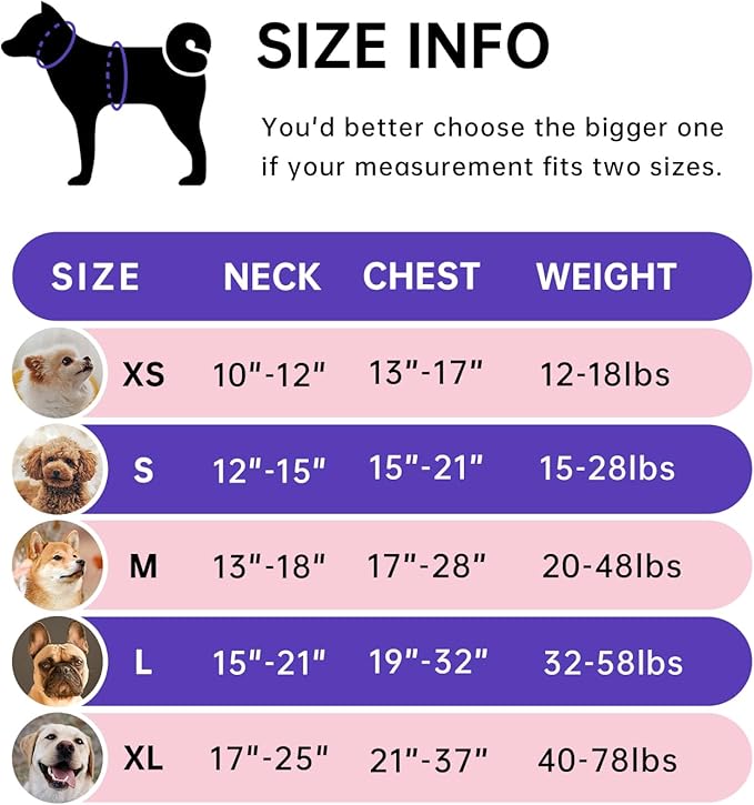 IVY&LANE No Pull Dog Harness for Small Dogs, Dog Vest Harness with Leash, Safety Belt and Storage Strap, Fully Adjustable Harness, 360° Reflective Strip, Soft Handle (Purple, XS)