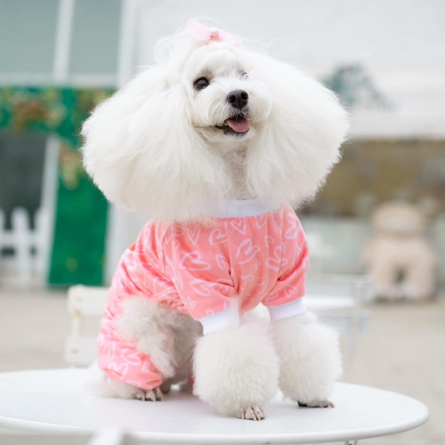 CuteBone Dog Valentine's Day Pajamas Puppy Onesies Small Dogs Soft Pjs Coat Cat Apparel Comfy Pet Clothes Outfit Doggie Bodysuit P273M