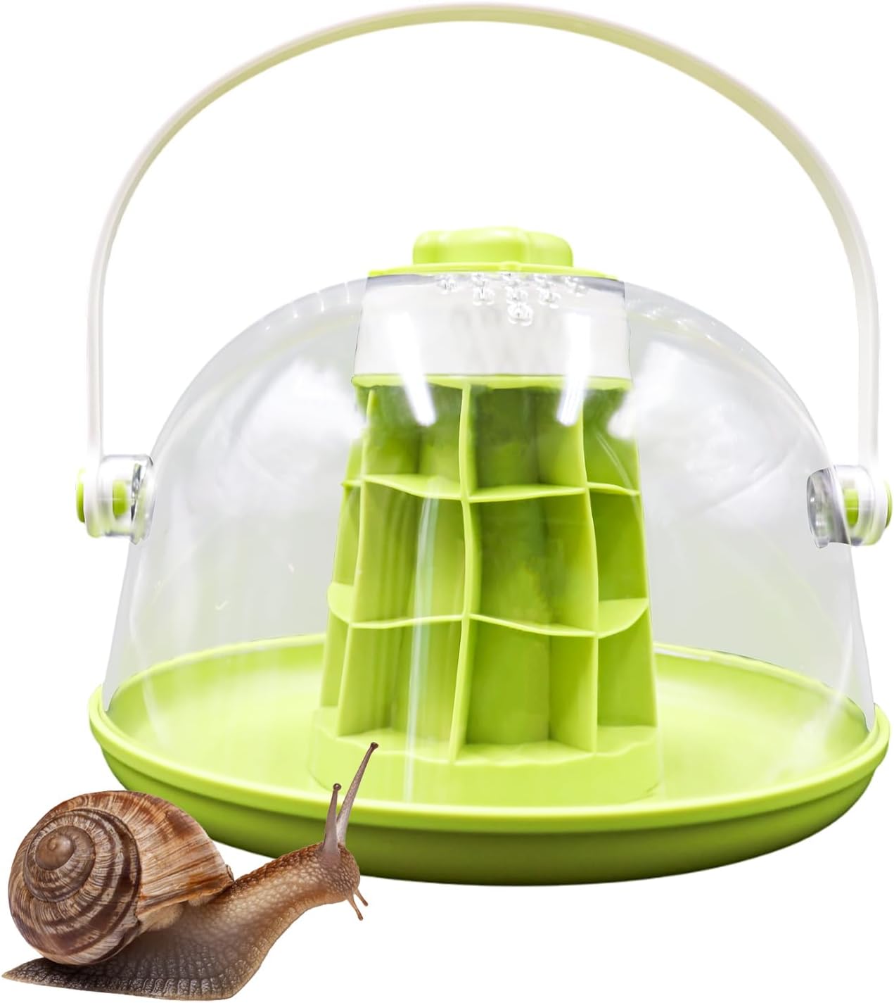 Round Transparent Snail Terrarium Kit, Portable Plastic Habitat with Air Vents & Removable Base, Breeding Box for Snails, Beetles, Spiders, Ladybugs & Small Insects
