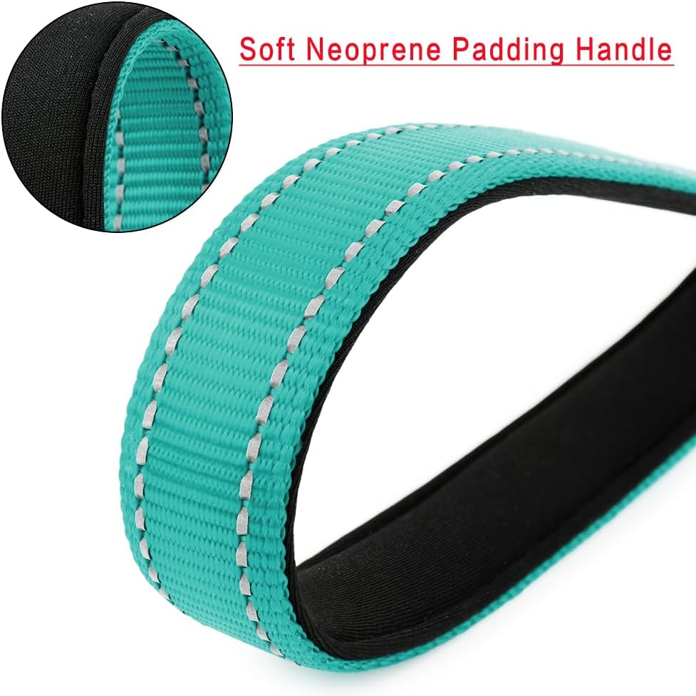 PLUTUS PET Short Dog Leash, Reflective Nylon Padded Handle, Strong Traffic Leash with Carabiner Clip, Perfect for Large or Medium Dogs (10”，Teal)