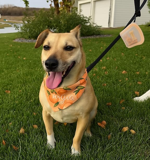 MODERN-X SnapPack Dog Treat Bag, 3-Pack Reusable Silicone Bags, Dog Treat Pouches, for Cats, Dish Washer Safe, Leakproof, Microwave & Freezer Safe, BPA-Free, Plastic Free Silicone, Multi-Color Trio