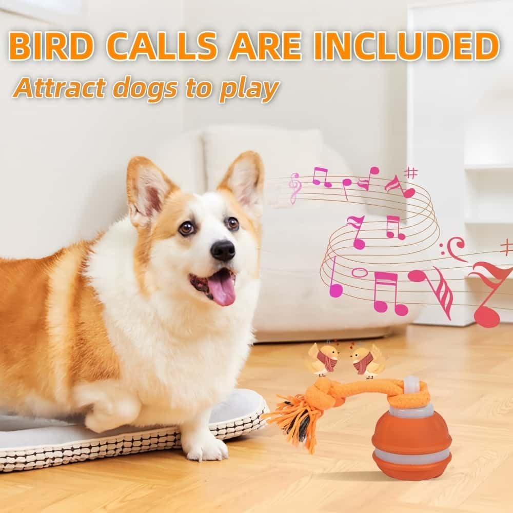 Interactive Dog Toys, Squeaky Dog Toys, Active Rolling Ball for Puppy and Medium Dogs, Squeaky, USB Rechargeable (Orange+Blue)