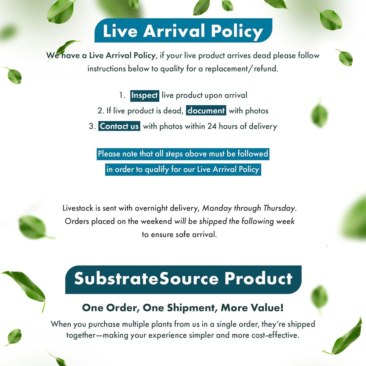 SubstrateSource Live Aquarium Stem Plants - Freshwater Aquatic Plant for Fish Tanks, Aquascaping - (Limnophila Belem, 4 Bunches)