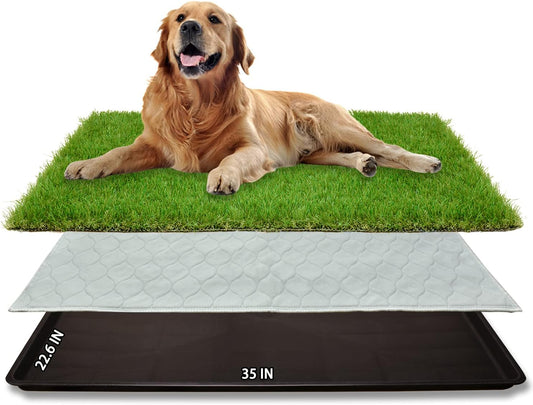 Dog Grass Large Potty Patch, Dog Litter Boxes Artificial Grass Bathroom Turf for Pet Training, Washable Puppy Pee Pad, Perfect Indoor/Outdoor Portable Potty Pet Loo (Tray system-35"X22.6")