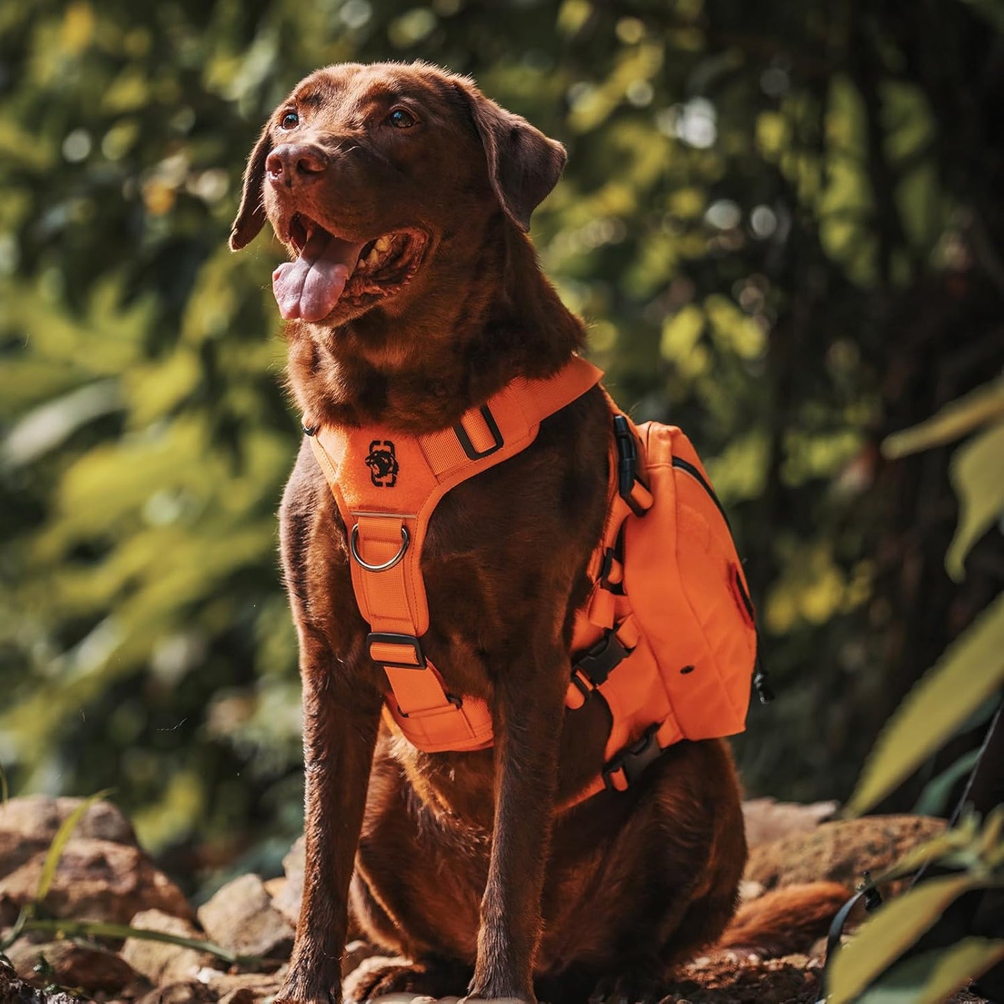 Onetigris Dyno Outdoor Harness for Dogs with Pockets, Front Range Pack, Saddle Bag Dog Hiking Vest with Handles