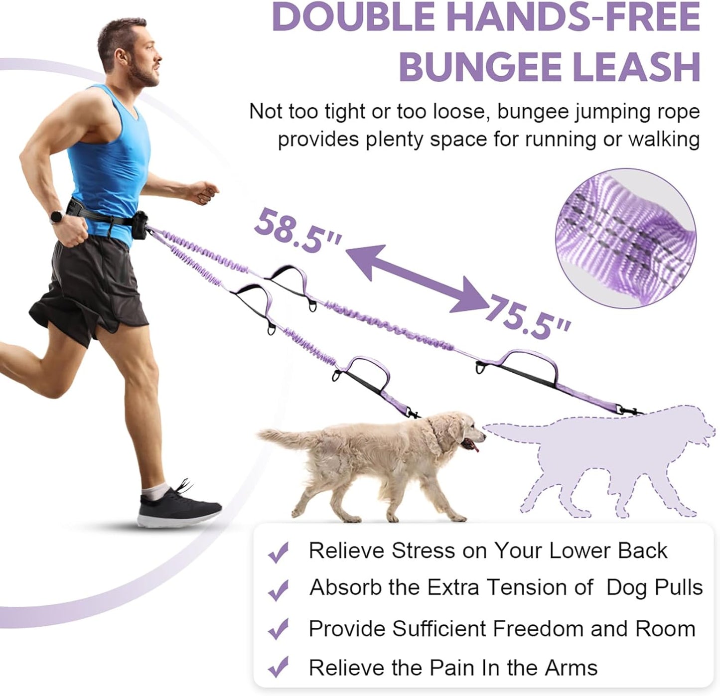 Hands Free Dog Leash, Adjustable Waist Belt with Double Padded Handles,Retractable Bungee, Waist Leash for Dog Walking,Running, No Pull,Purple