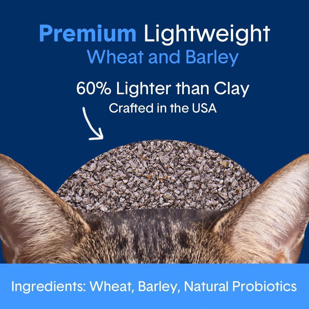 Boxie® Probiotic Cat Litter, Lightweight 40-Day Odor Control, Clumping, 11.5lb