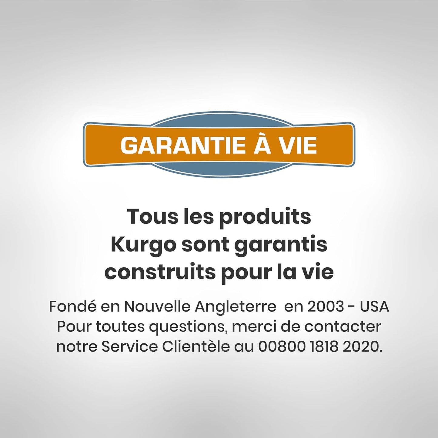 Kurgo Dog Saddlebag Backpack, Back Pack Dog Harness, Hiking Pack for Dogs, Packs for Pets to Wear, Camping & Travel Vest Harness, Reflective, Lightweight, Baxter Pack, for Medium & Large Pets