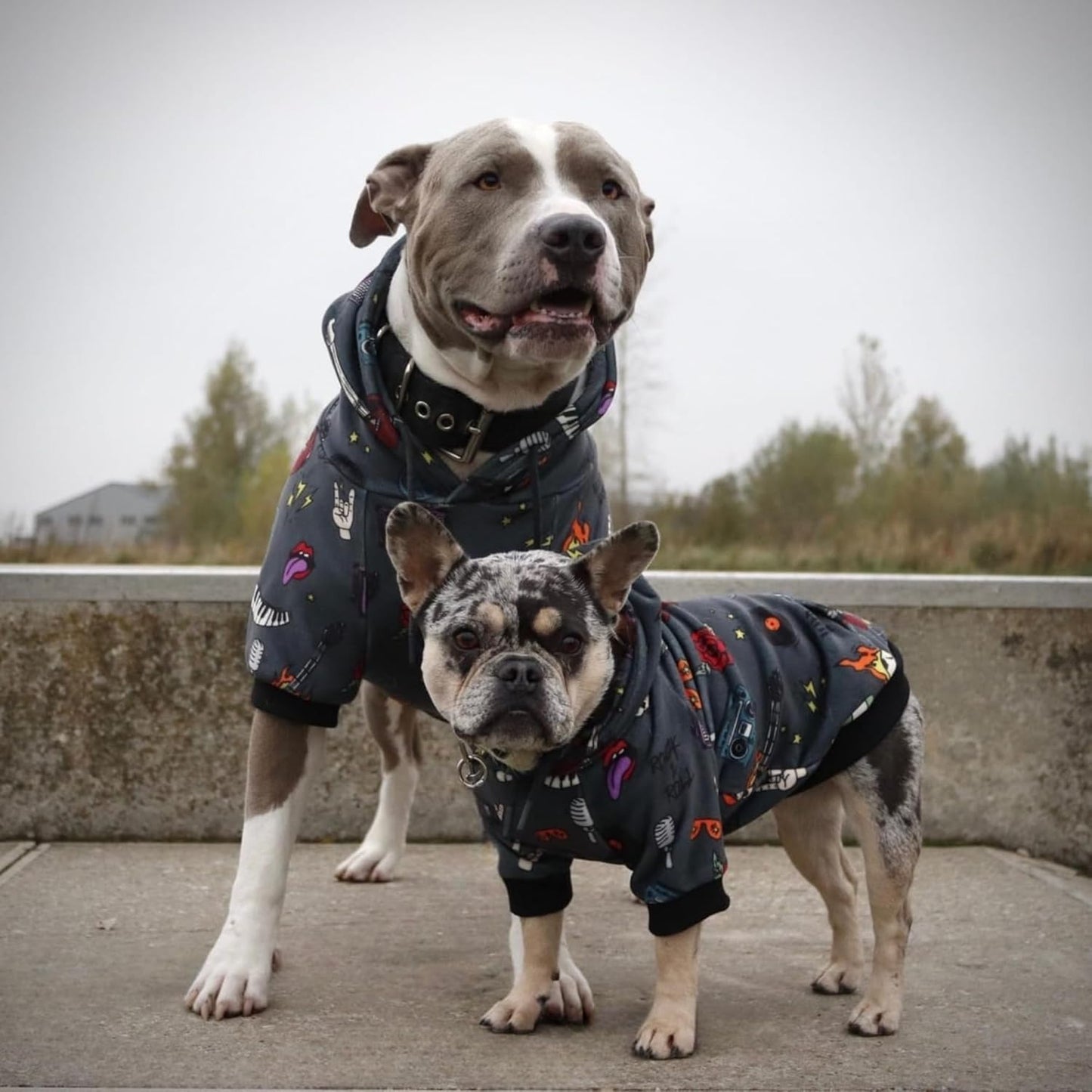 Spark Paws Dog Hoodie – Premium Dog Sweater for Small, Medium, and Large Dogs | Warm Outfits for French Bulldogs, Pitbull, Puppy, Winter Jacket Alternative - Rock and Roll -3XL