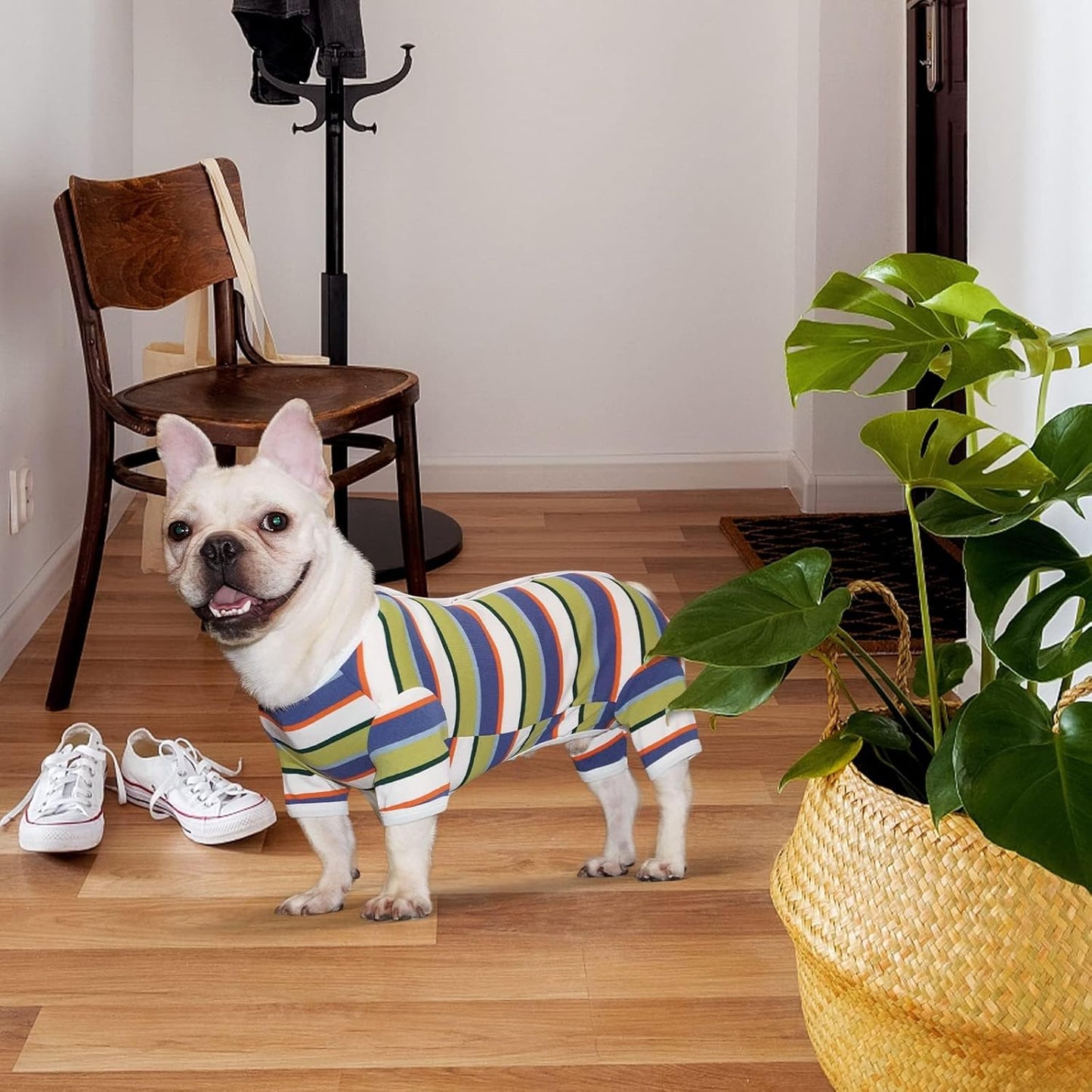 TONY HOBY Dog Pajamas, Dog Jumpsuit, Colorful Dogs Shirt, Dogs Surgery Recovery Suit for Small Medium Breeds (Blue&White, Boy, XS)