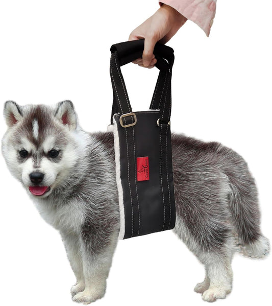 Leather Dog Lift Harness for Small Dogs,Doggie Walking Sling,Puppy Belly Support Strap,Pet Assist Harness for Senior,Injured,Disabled Dogs After ACL Surgery S