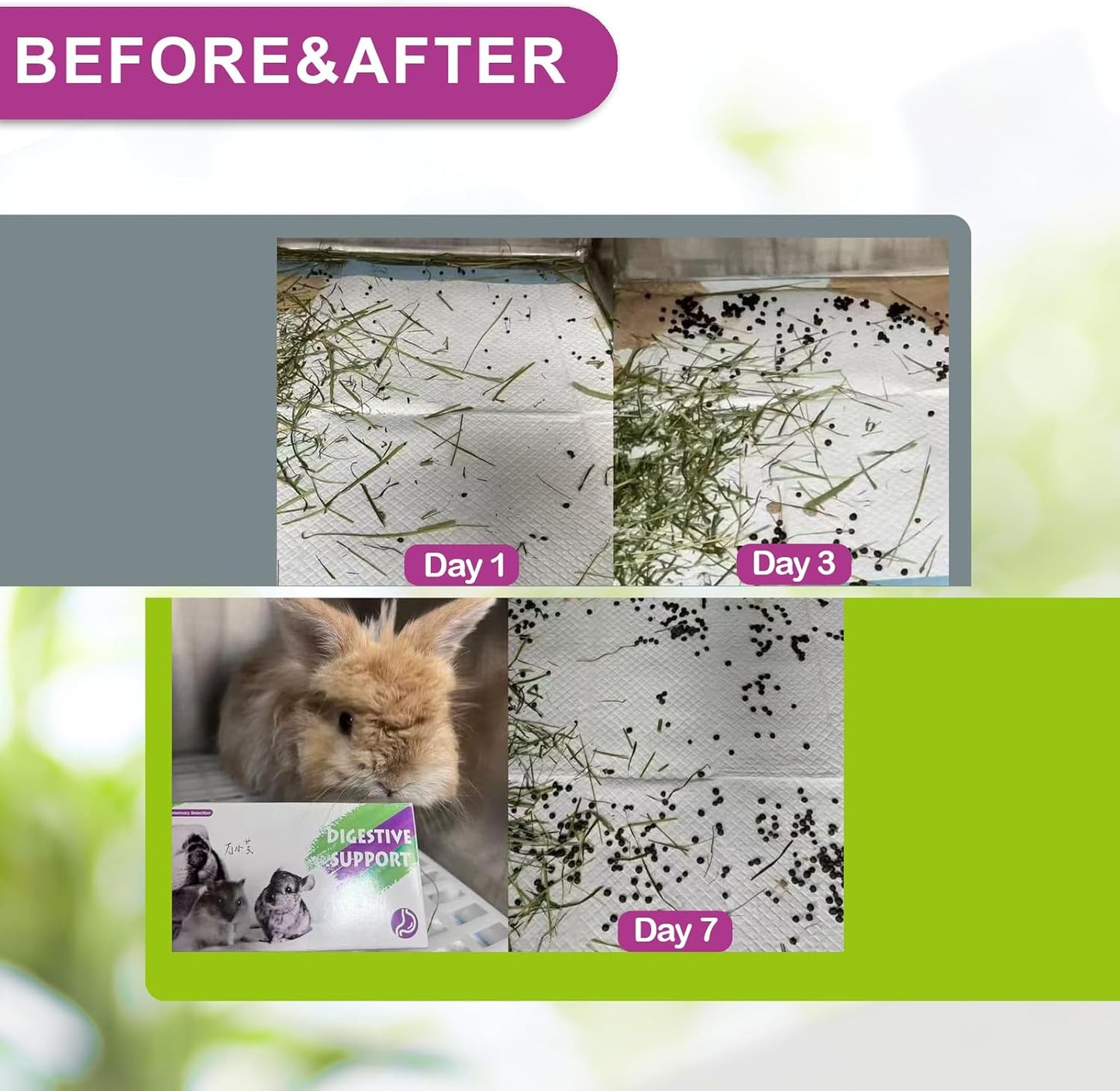 Digestive Support for Rabbits - High Fiber Probiotics, GI Stasis Prevention, Promote Gut Motility, Critical Care Herbivore Supplement, Rabbit & Guinea Pig Treats/Food, 36 Capsules