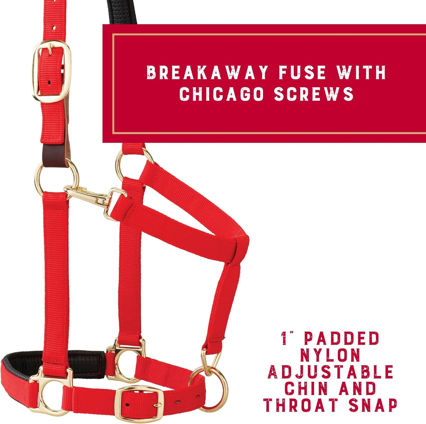 Weaver Equine Breakaway Horse Halter, Comfort Foam Padding, Adjustable Chin & Throat Snap Halters for Horses, Equine Tack,Average Size, Red