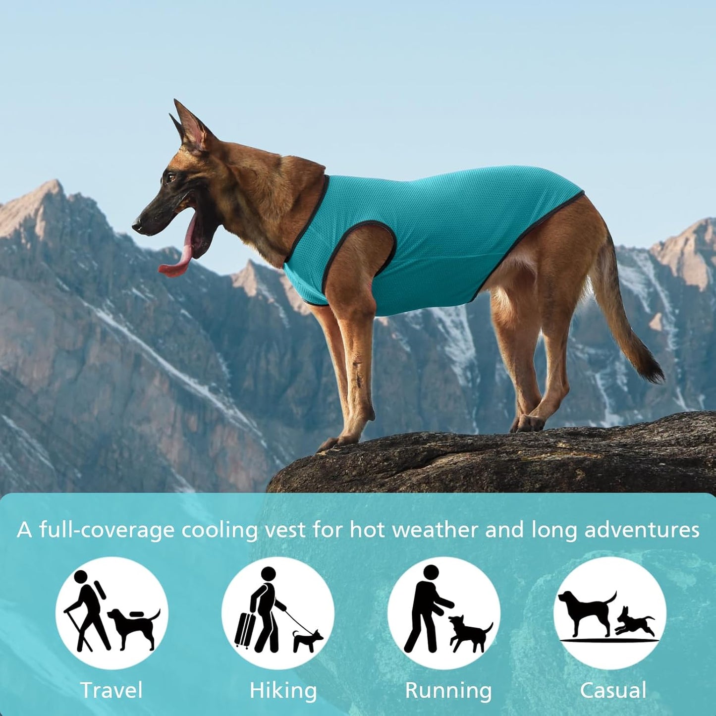 2 Pack Cooling Shirts for Dogs, Lightweight Mesh Breathable Dog Clothes for Medium Dogs Boy Girl,Sports Fan Pet T-Shirts for Dog&Cat Puppy Vest Pet Apparel - XL