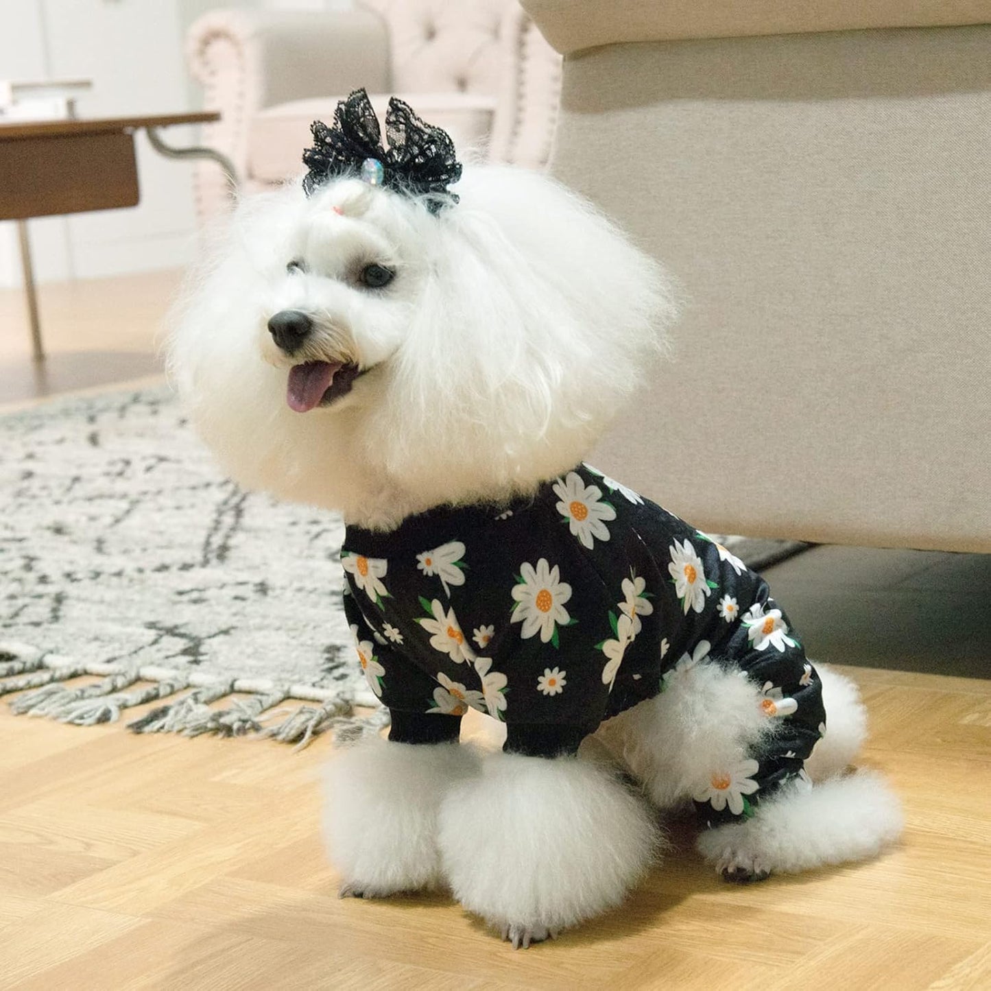 CuteBone Small Dogs Outfit Soft Puppy Onesies Pjs Dog Pajamas Pet Coat Cat Apparel Comfy Doggie Jumpsuit Bodysuit for All Seasons P221M