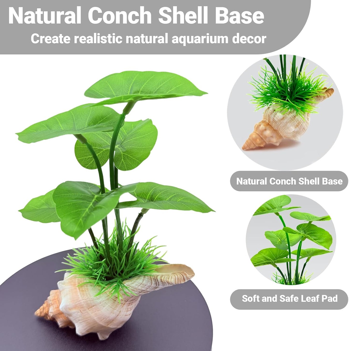 7-in Aquarium Decor Silk Plants for Fish Tank Decorations Betta Hammock - Artificial Aquarium Plants Plastic Realistic - Betta Fish Tank Accessories, Fish Hide, Goldfish Decor Natural Conch Shells