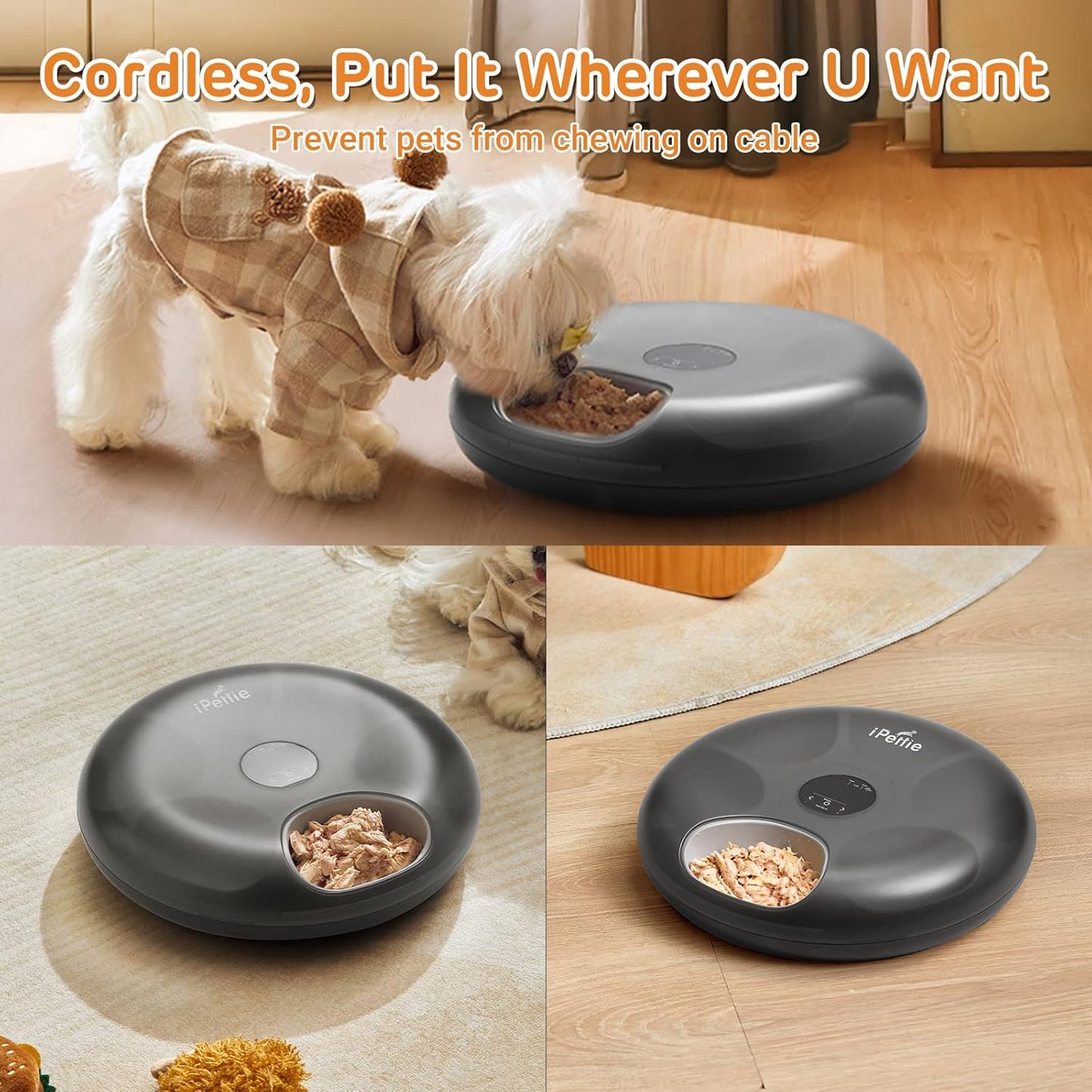 iPettie Donut Frost 6 Meal Cordless Automatic Pet Feeder, Dry & Wet Food Automatic Cat Feeder with Two Ice Packs, Rechargeable Massive Battery, Programmable Timer, Holds 6 x ½ lb. of Food