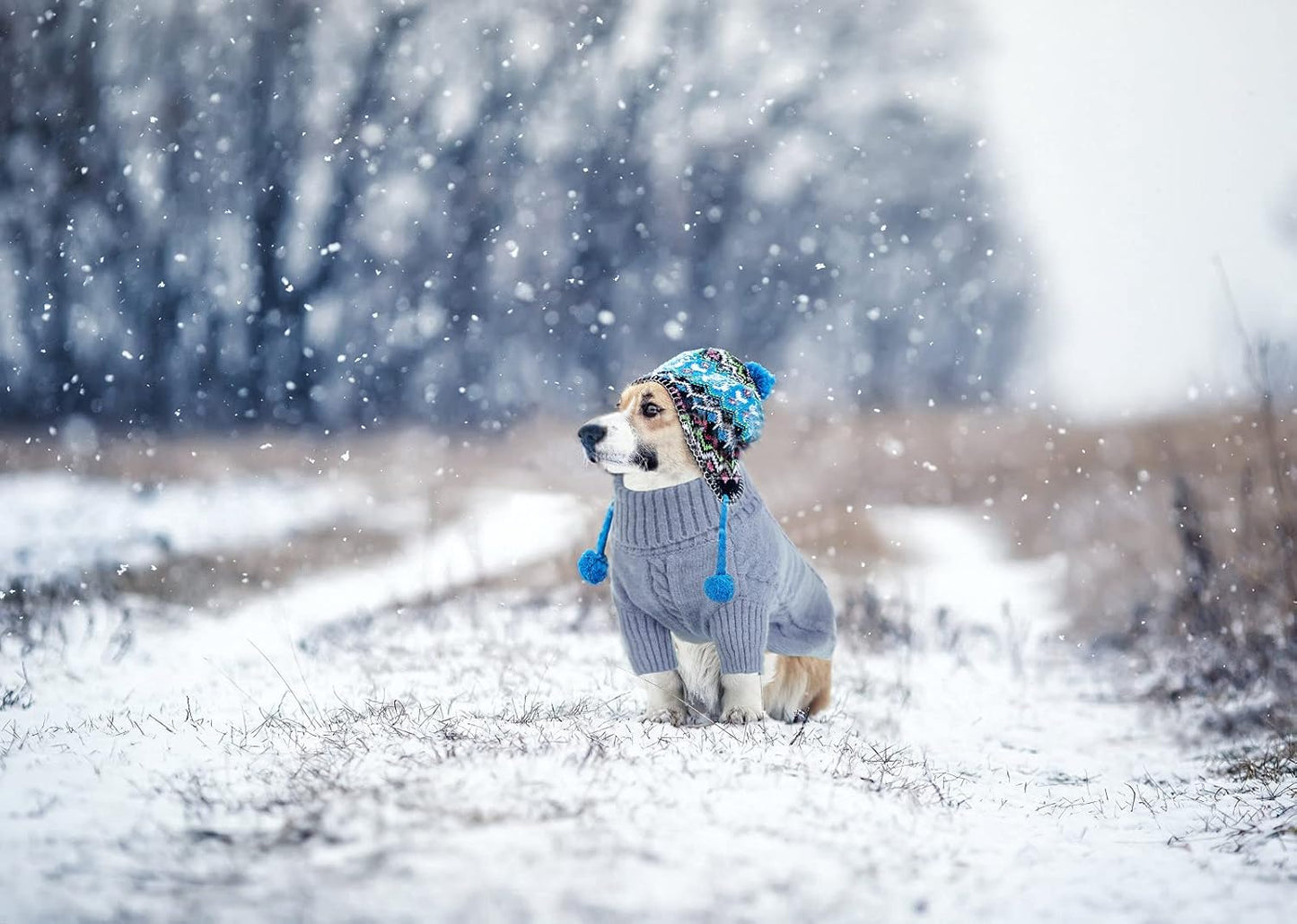 Queenmore Small Dog Pullover Sweater, Cold Weather Cable Knitwear, Classic Turtleneck Thick Warm Clothes for Chihuahua, Bulldog, Dachshund, Pug, Yorkie (Grey, X-Small)