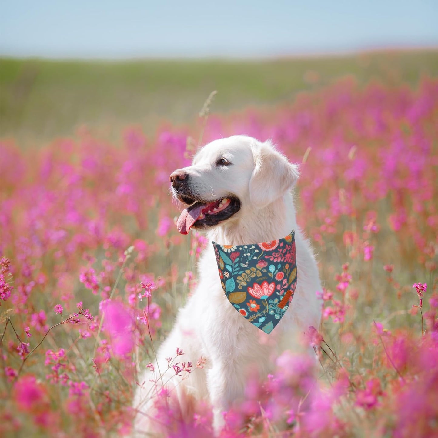 PTDECOR Flower Dog Bandana,2 Pcs Floral Reversible Dog Scarf, Multi Size, Triangle Pet Bandanas for Extra Large Dogs (Flower, X-Large)