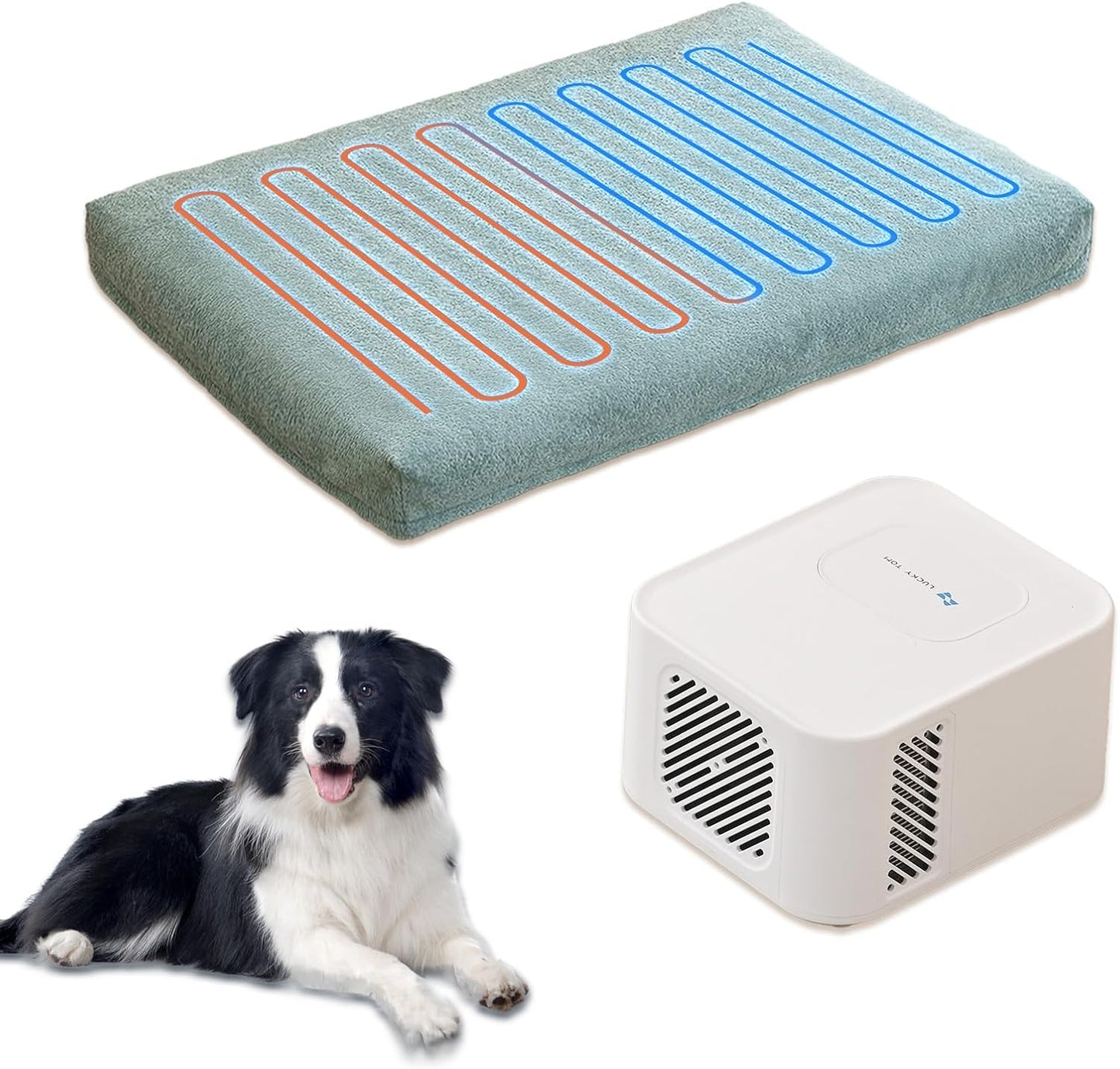 Pet Bed Cooling System, Consistent Warm and Cold Water Pad, No Electric Shock or Chemical Gel Needed, Machine Washable Bed, Ideal for Home and Crates (Cooling & Heating Green, 35" x 22")