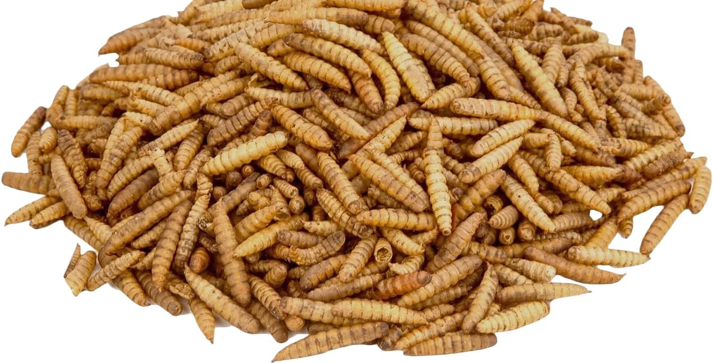Dried Black Soldier Fly Larvae, 100% Natural, Non-GMO, High-Protein Treats for Chickens, Layer Hens, Wild Birds, Ducks, 13.3 oz, Pack of 4