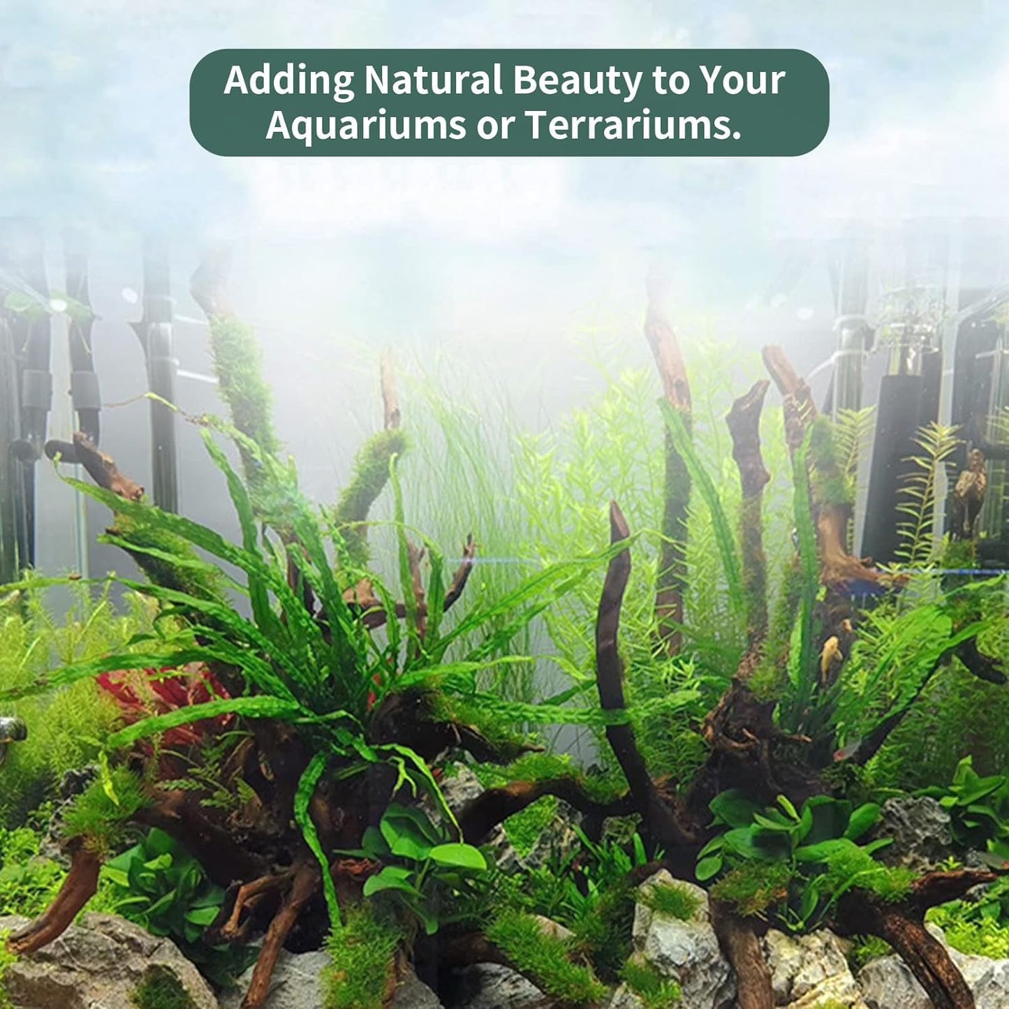 Hamiledyi 24 Pcs Small Driftwood for Aquarium 3"-5" Driftwood Branches Aquarium Decoration Reptiles Reptile Tank Accessories Assorted Size Natural Habitat Decor Wood for Lizad