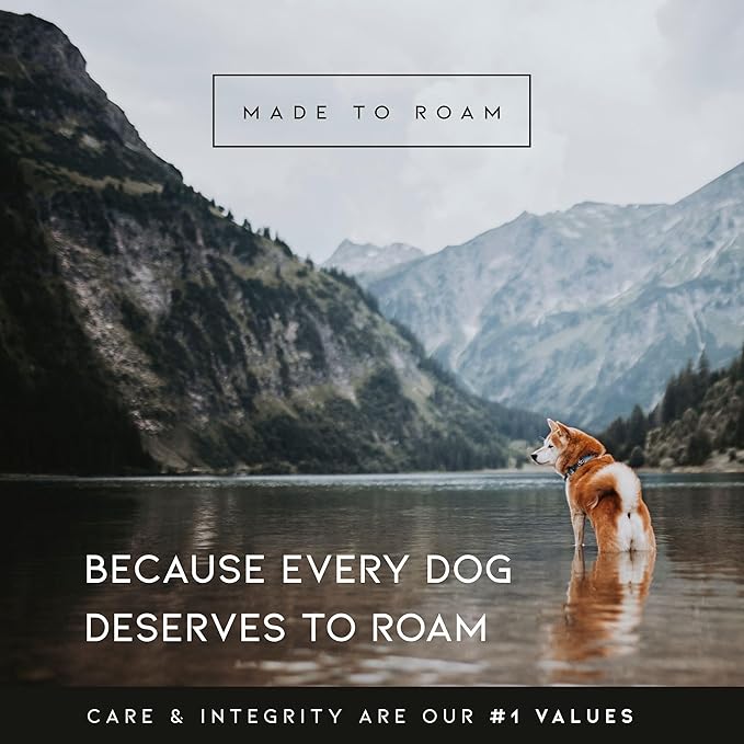 MADE TO ROAM Premium Explorer Harness - Y-Shaped Dog Harness with Adjustable Durable Nylon, Soft Padding, Metal Buckles and Leather Handle for Small, Medium, Large Dogs (Arizona Heartbeat, Size 1)