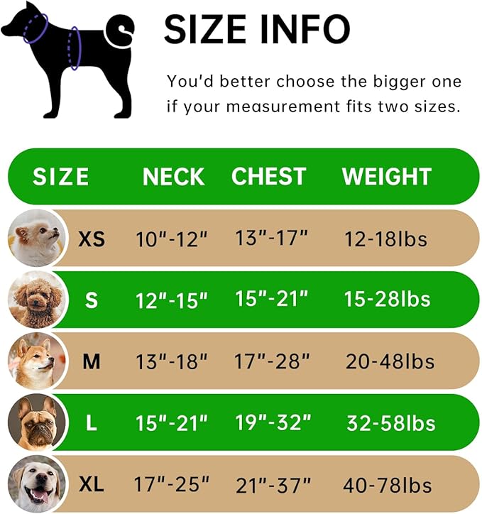 IVY&LANE No Pull Dog Harness for Medium Dogs, Dog Vest Harness with Leash, Safety Belt and Storage Strap, Fully Adjustable Harness, 360° Reflective Strip, Soft Handle (Green,M)