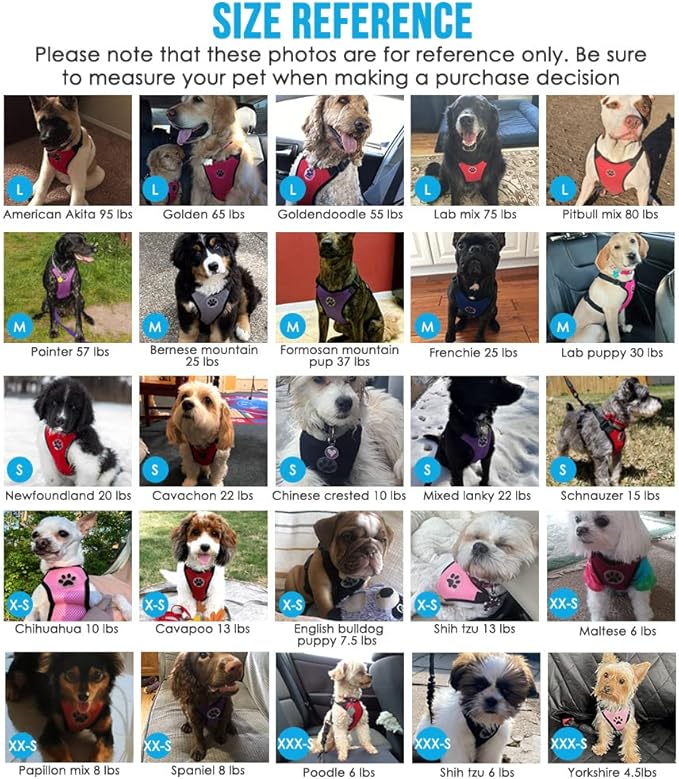 Lukovee Dog Seat Belt - Adjustable Dog Car Harness for Large, Medium & Small Dogs, Soft Padded & Breathable Mesh Dog Seatbelt with Vehicle Connector Strap (Orange, X-Small)