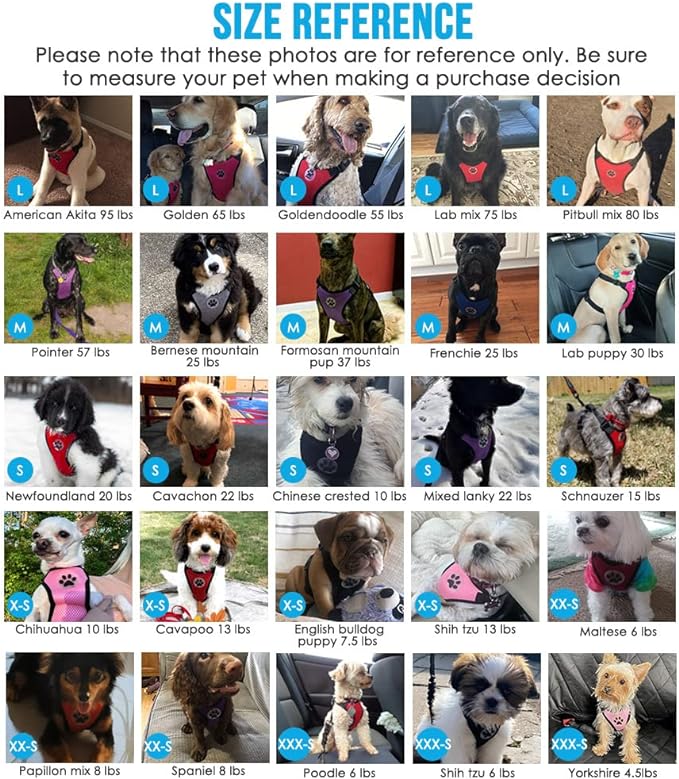 Lukovee Dog Seat Belt for Car, Adjustable Dog Car Harness for Large Medium Small Dogs, Soft Padded & Breathable Mesh Dog Seatbelt with Car Vehicle Connector Strap (Rose Red,Large)