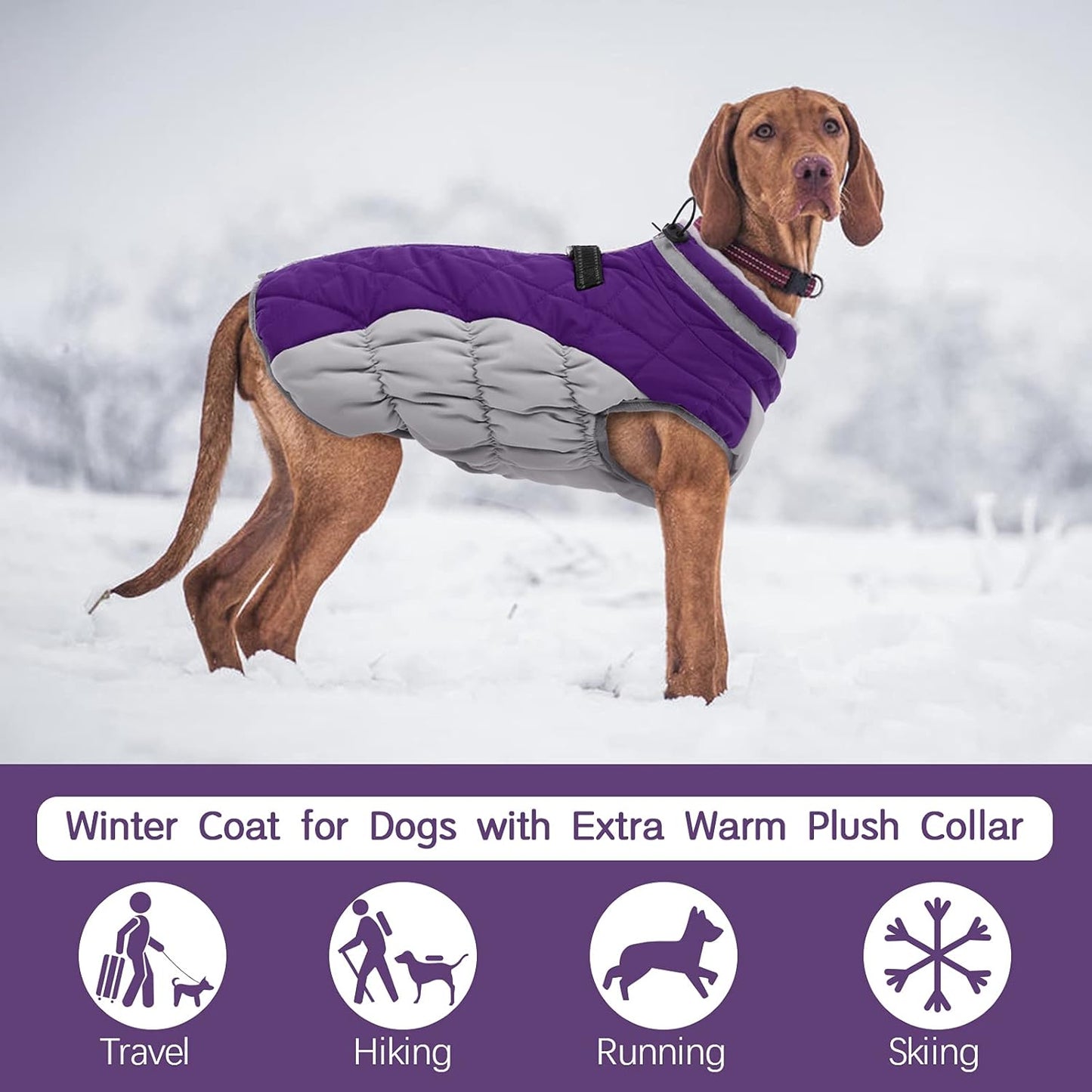 FUAMEY Dog Coat for Small Dogs,Waterproof Dog Winter Jacket with Harness Built in Puppy Cold Weather Coats Reflective Pet Vest with Zipper Warm Fleece Dogs Snowsuit Windproof Purple S