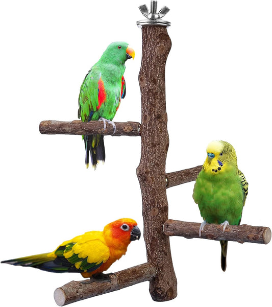 Bird Perch Stand Toy, Natural Wood Parrot Perch Bird Cage Branch Perch Accessories for Parakeets Cockatiels Conures Macaws Finches Love Birds (M: 10" Length)