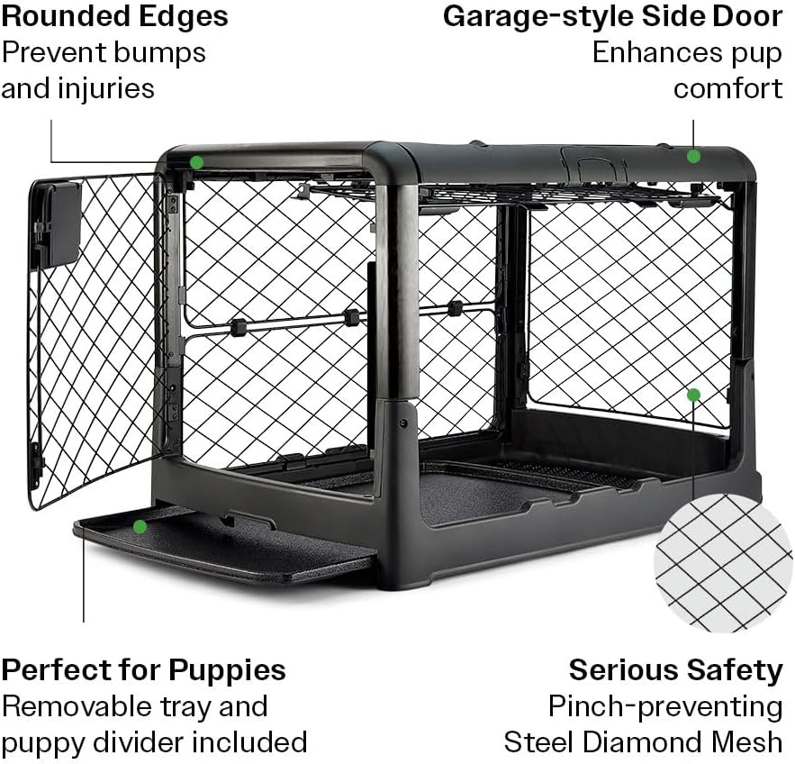 DIGGS Revol Collapsible Dog Crate with Wheels - Premium Portable Dog Crate - Safe, Stylish, and Convenient Indoor Kennel (Charcoal, Medium)