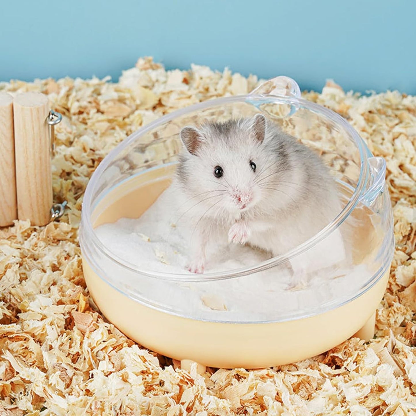 Meow&Woof Hamster Sand Bath Container, Large Sandbox Toilet Gerbil Batheoom, Tiny Chinchilla Dust Bathtub Sand Bath Box for Hamster Cage Accessories 6.5 Inch-Yellow